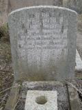 image of grave number 295456